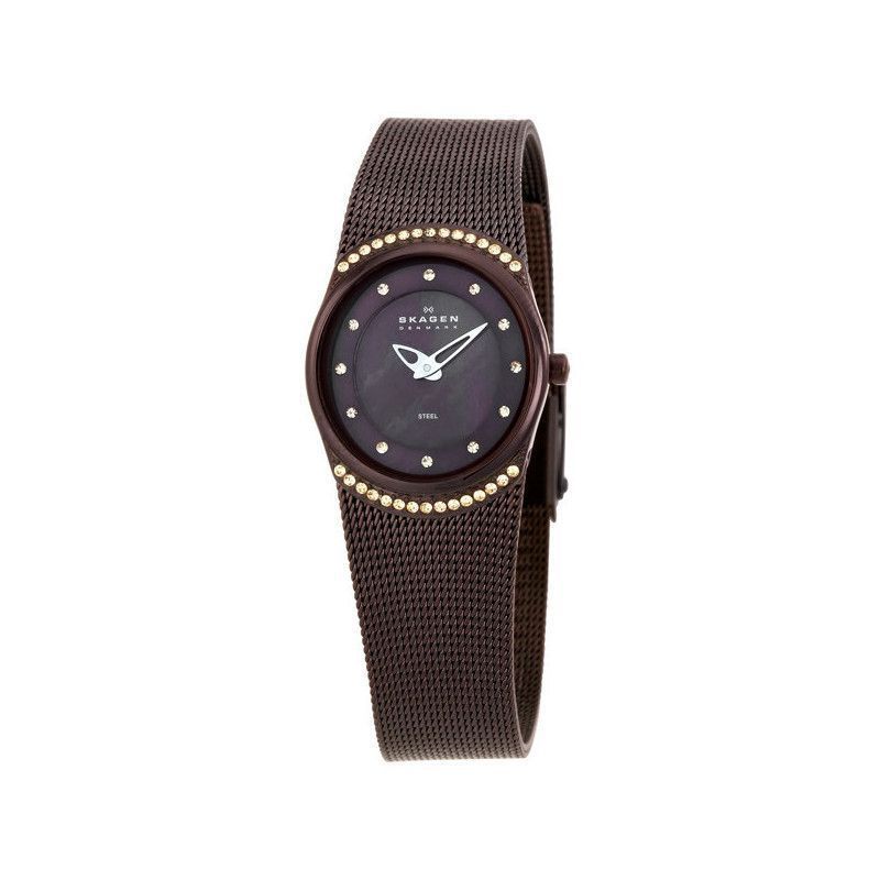 Ceas de dama Skagen Mesh 686XSMM