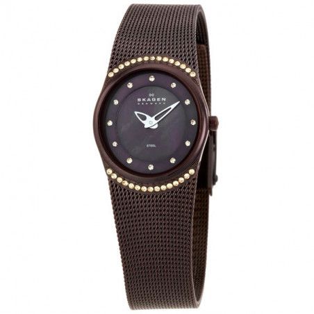 Ceas de dama Skagen Mesh 686XSMM