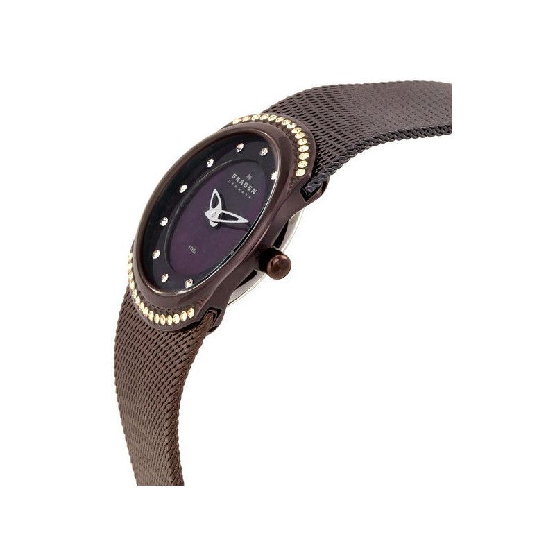 Ceas de dama Skagen Mesh 686XSMM