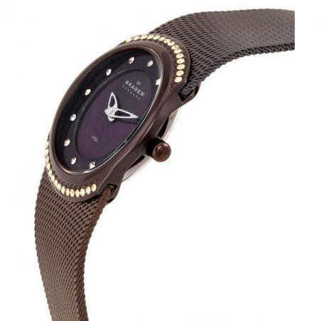 Ceas de dama Skagen Mesh 686XSMM
