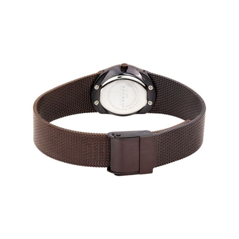 Ceas de dama Skagen Mesh 686XSMM