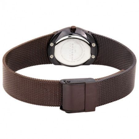 Ceas de dama Skagen Mesh 686XSMM