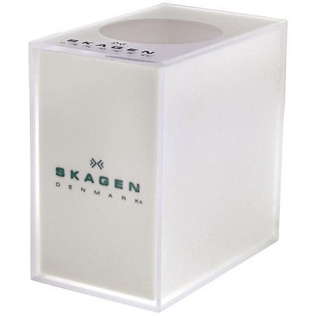Ceas barbatesc Skagen Steel 430LSX