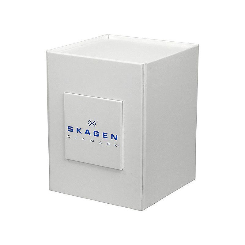 Ceas barbatesc Skagen Steel 329XLSLB