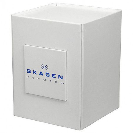 Ceas barbatesc Skagen Steel 329XLSLB