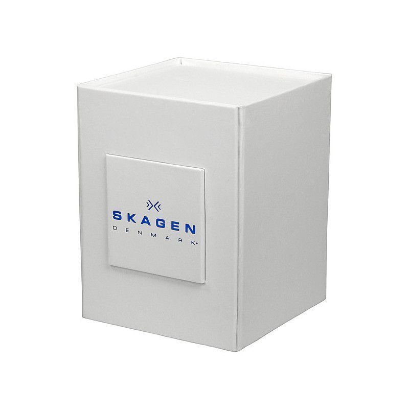 Ceas barbatesc Skagen Leather 331XLSLD1