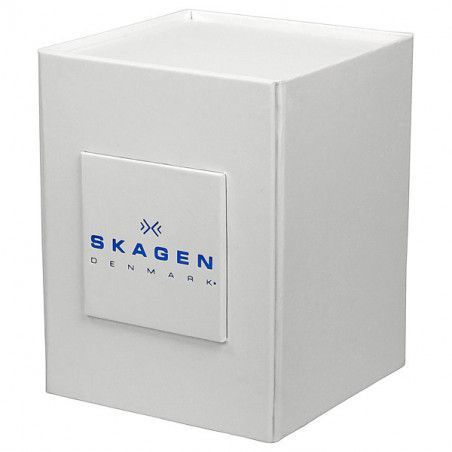 Ceas barbatesc Skagen Leather 331XLSLD1
