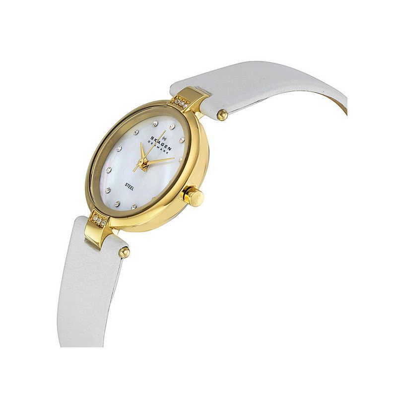 Ceas de dama Skagen Leather 109SGLW