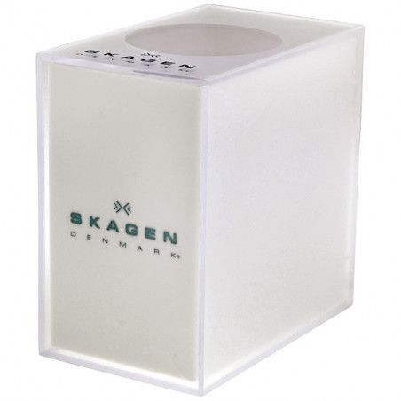 Ceas de dama Skagen Leather 109SGLW