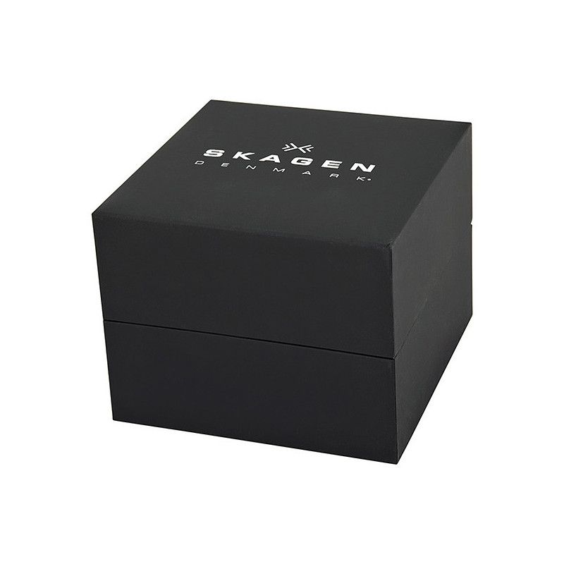 Ceas de dama Skagen Steel 822SSXS