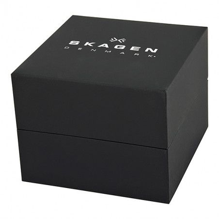 Ceas de dama Skagen Steel 822SSXS