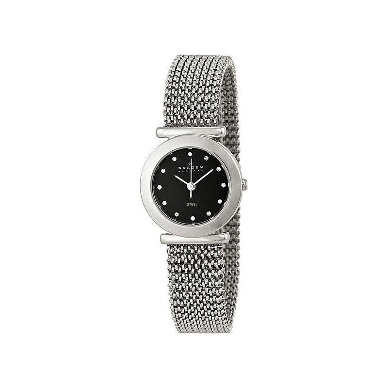 Ceas de dama Skagen 107SSSB2