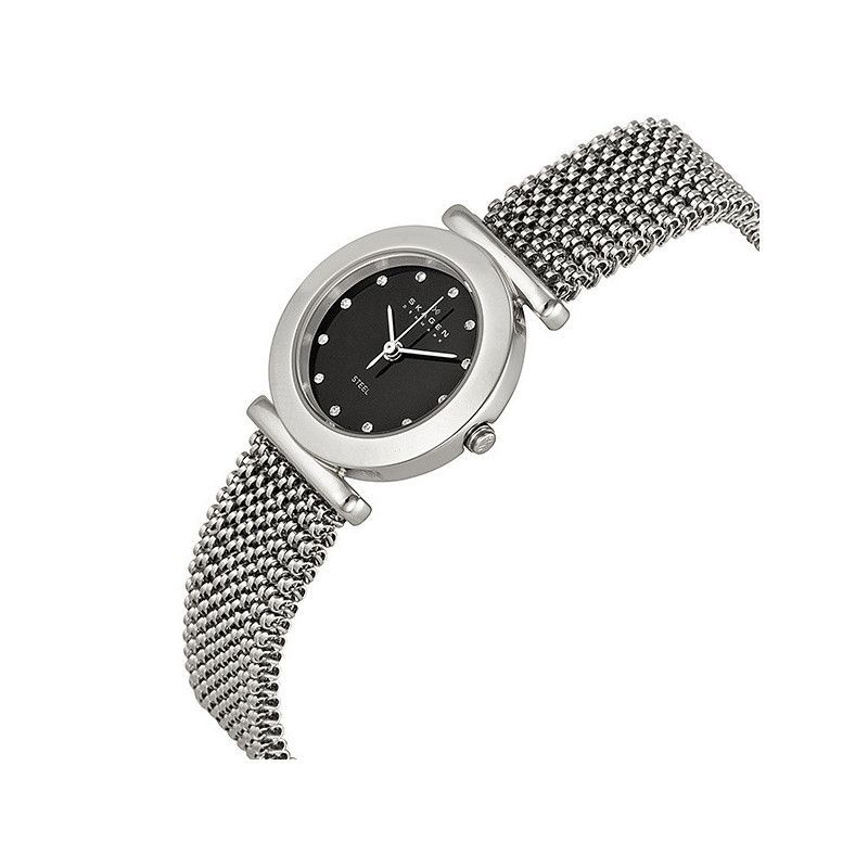 Ceas de dama Skagen 107SSSB2