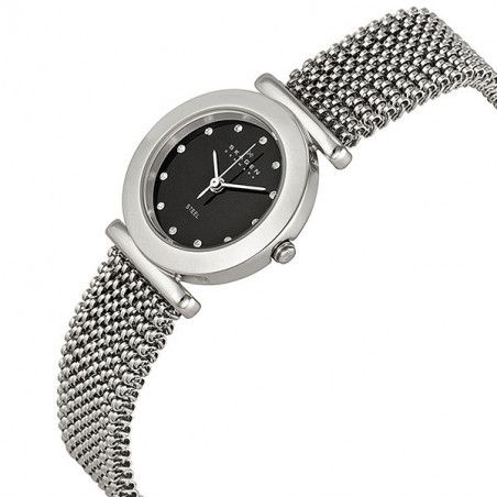 Ceas de dama Skagen 107SSSB2