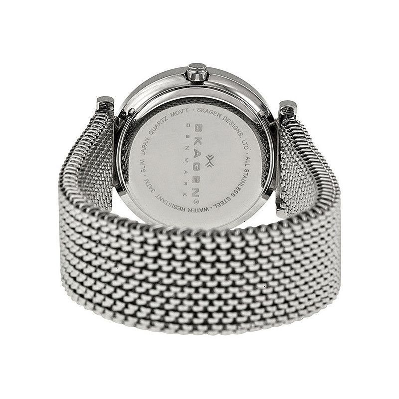 Ceas de dama Skagen 107SSSB2