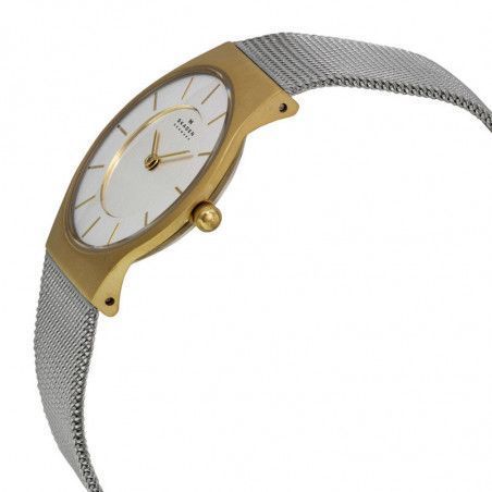 Ceas de dama Skagen 233SGS