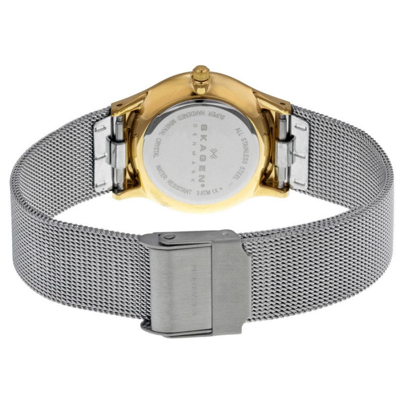 Ceas de dama Skagen 233SGS