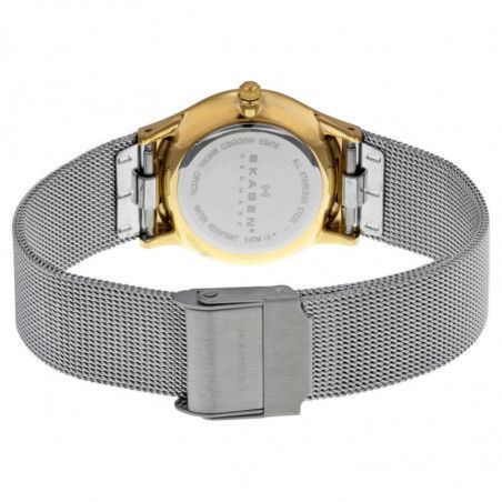 Ceas de dama Skagen 233SGS