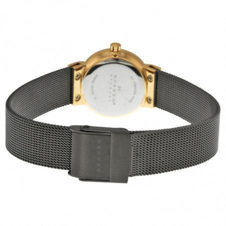 Ceas de dama Skagen 358XSRM