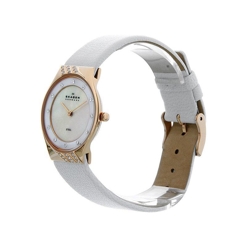 Ceas de dama Skagen Leather 635SRLW