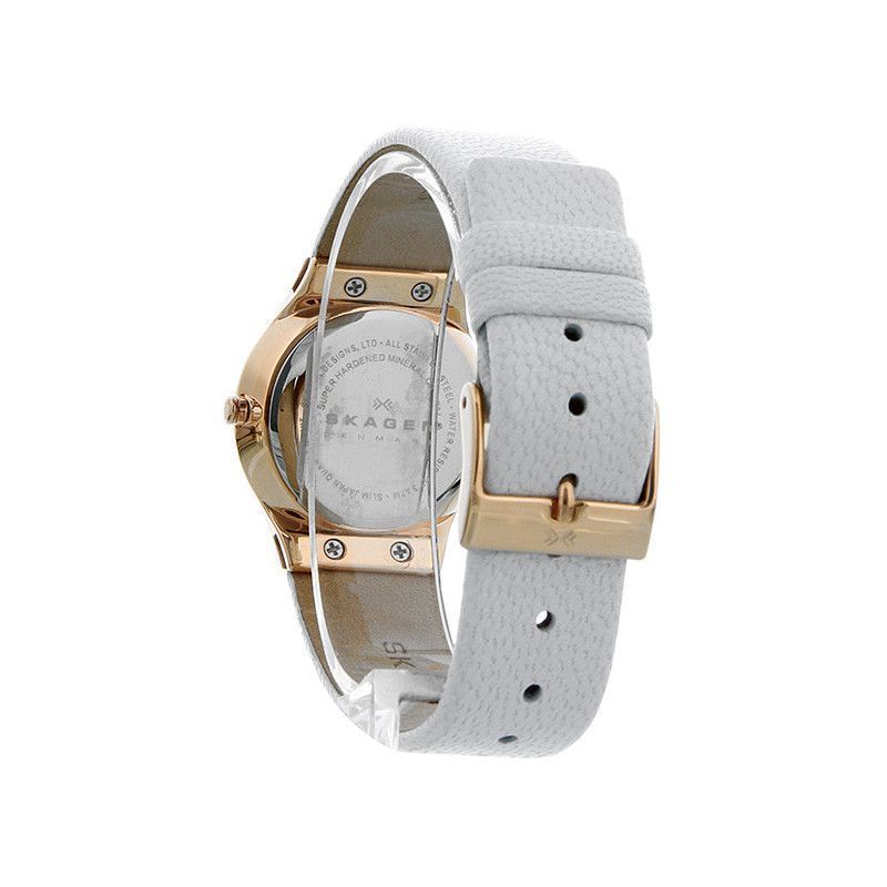 Ceas de dama Skagen Leather 635SRLW