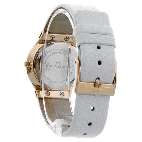 Ceas de dama Skagen Leather 635SRLW