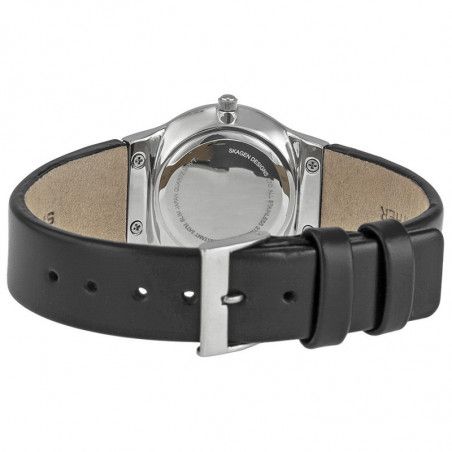 Ceas de dama Skagen 433SSLB1