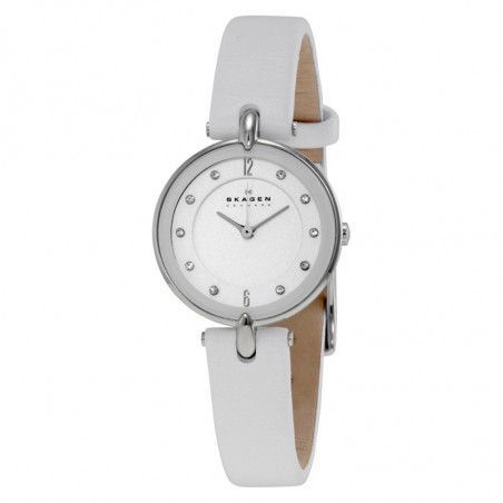 Ceas de dama Skagen SKW2012