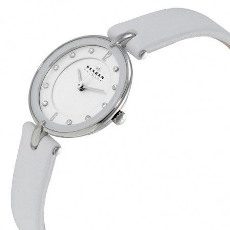 Ceas de dama Skagen SKW2012