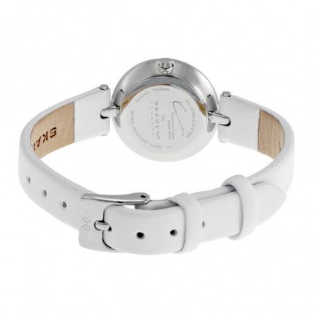 Ceas de dama Skagen SKW2012
