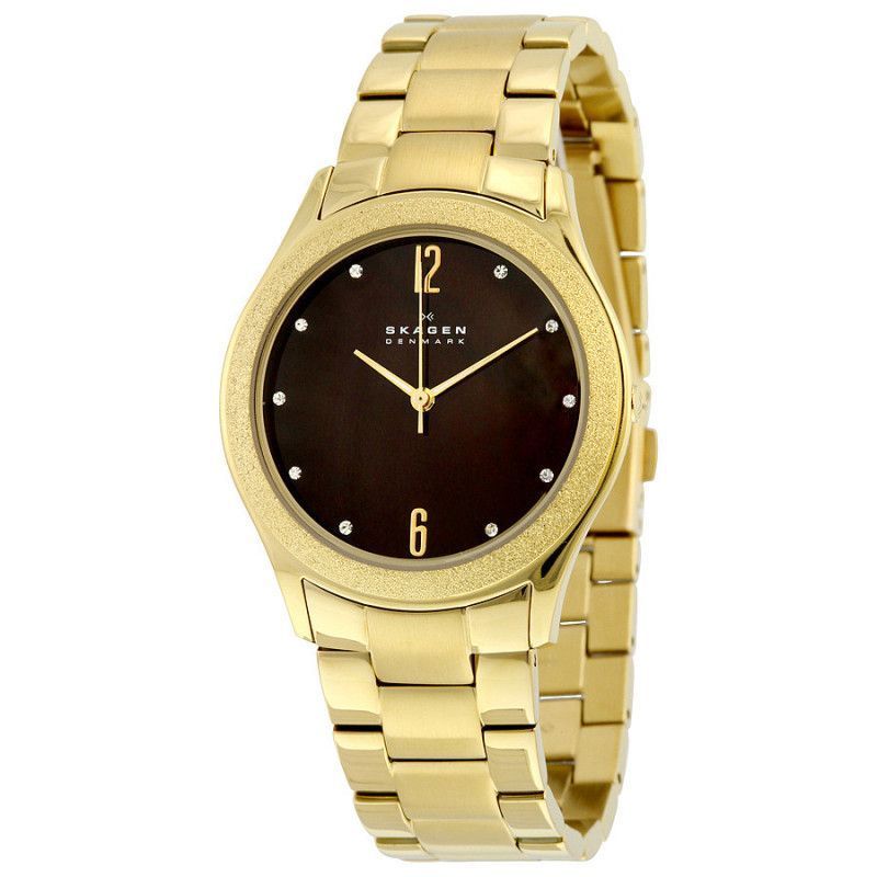Ceas de dama Skagen SKW2108