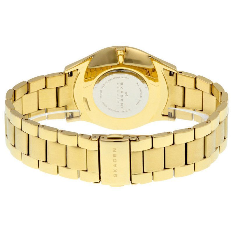 Ceas de dama Skagen SKW2108