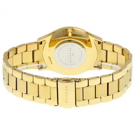 Ceas de dama Skagen SKW2108
