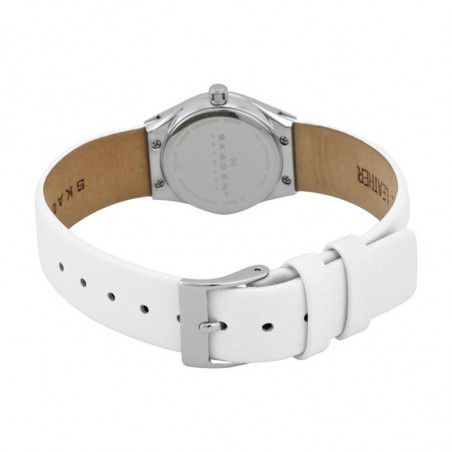 Ceas de dama Skagen SKW2047