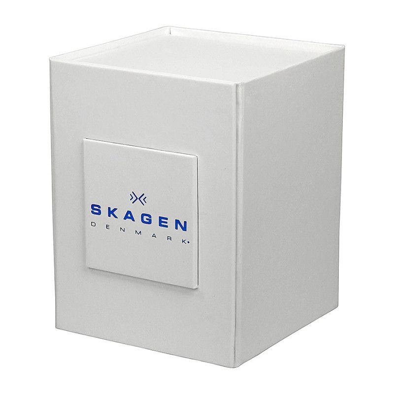 Ceas de dama Skagen Mesh 358SSSD