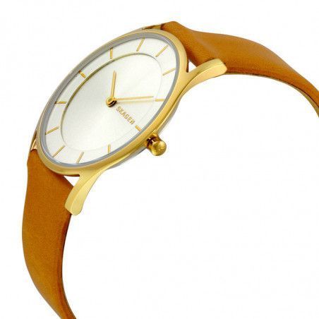 Ceas de dama Skagen Holst SKW2344