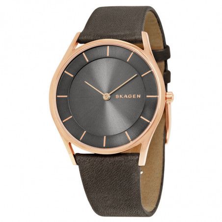 Ceas de dama Skagen Holst SKW2346