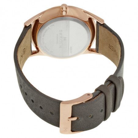 Ceas de dama Skagen Holst SKW2346