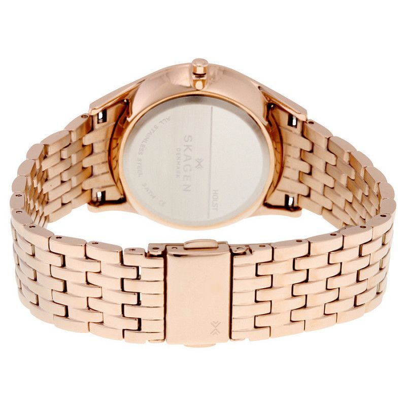 Ceas de dama Skagen Holst SKW2388