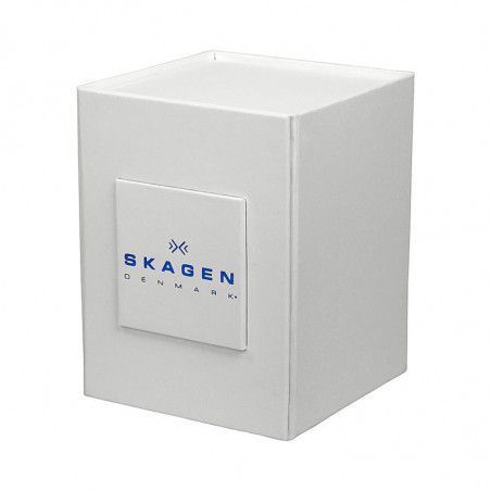 Ceas de dama Skagen Leonora 456SRR1