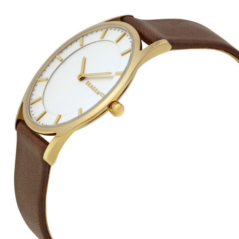 Ceas de dama Skagen Holst SKW6225