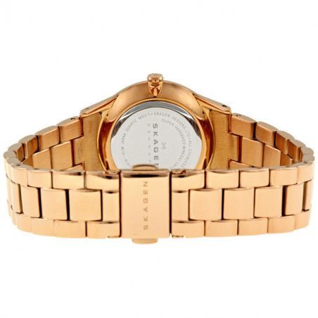 Ceas de dama Skagen Swarovski 347SRXR