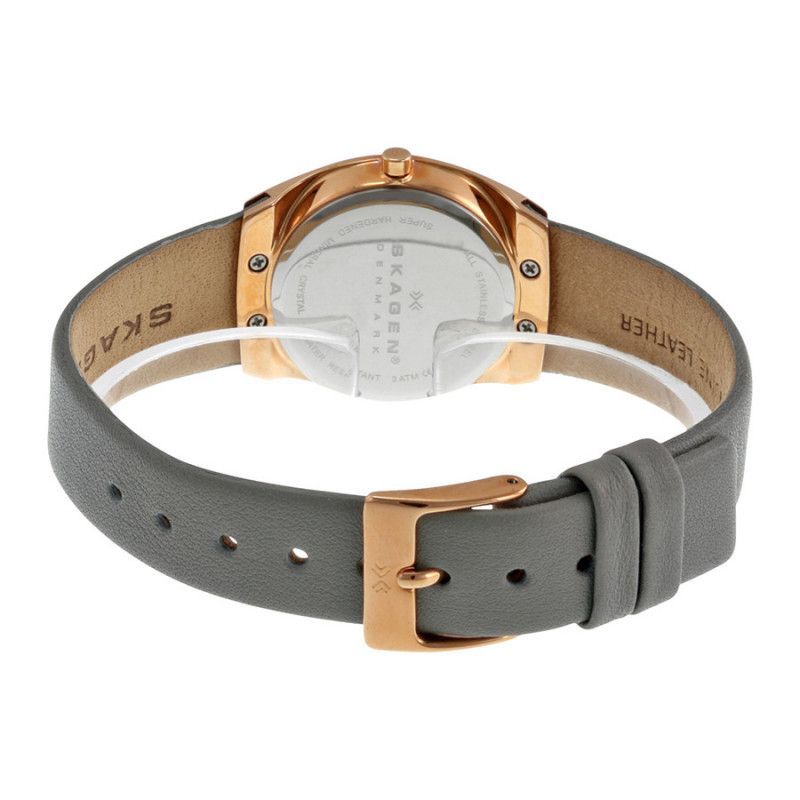Ceas de dama Skagen SKW2116