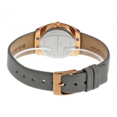 Ceas de dama Skagen SKW2116