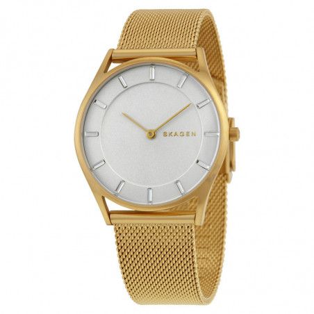 Ceas de dama Skagen Holst SKW2377