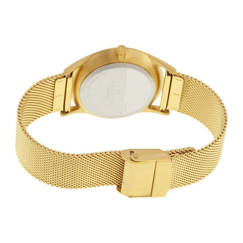 Ceas de dama Skagen Holst SKW2377