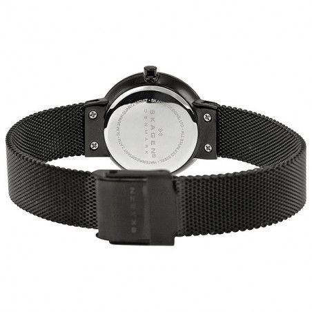 Ceas de dama Skagen 456SBB