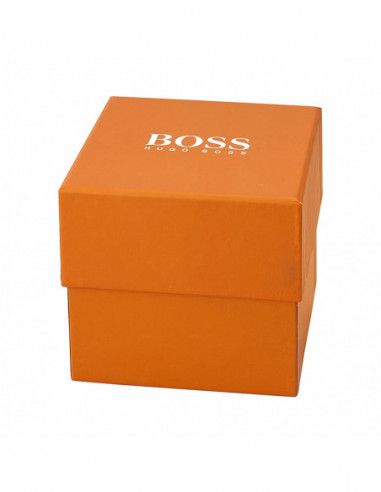 Ceas barbatesc Hugo Boss 1512736