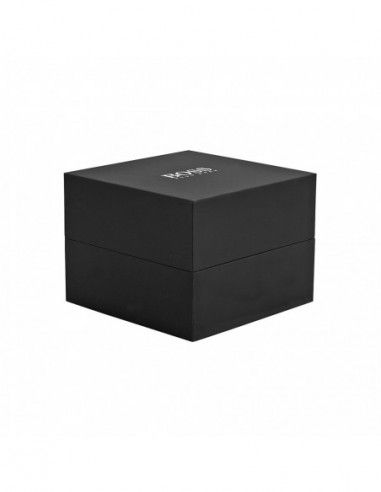 Ceas barbatesc Hugo Boss 1512979