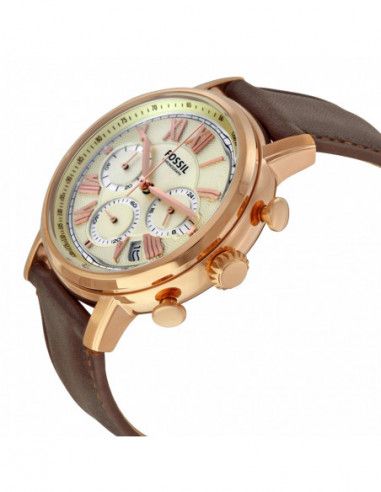 Ceas barbatesc Fossil Buchanan FS5103